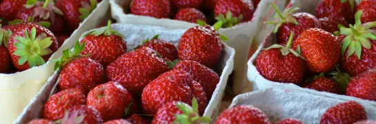 Erdbeeren